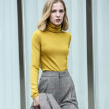 Amii Spring Women's turtleneck Solid colour full sleeve  slim fit wool sweater female clothes winter  knit sweater tops 11820098