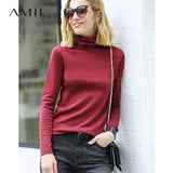 Amii Spring Women's turtleneck Solid colour full sleeve  slim fit wool sweater female clothes winter  knit sweater tops 11820098