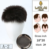 WEILAI toupee Head usage bald Alopecia Advanced knitting technology Dyeable Men's Wig  3 models Custom product