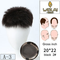 WEILAI toupee Head usage bald Alopecia Advanced knitting technology Dyeable Men's Wig  3 models Custom product