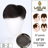 WEILAI toupee Head usage bald Alopecia Advanced knitting technology Dyeable Men's Wig  3 models Custom product